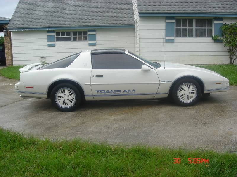 dadeboy305's Trans Am Picture140