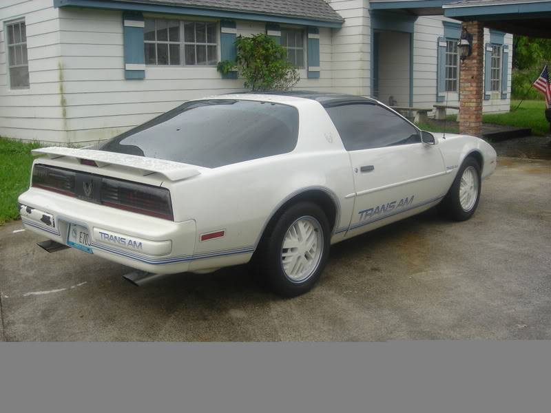 dadeboy305's Trans Am Picture141