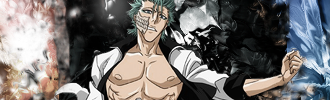 Grimmjow Desaturation Style 110