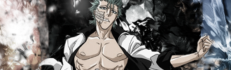 Grimmjow Desaturation Style 111-1