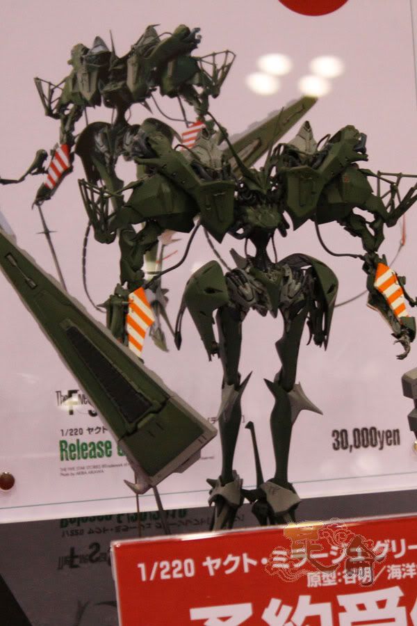 WF 2010 SUMMER JP Wf20101041