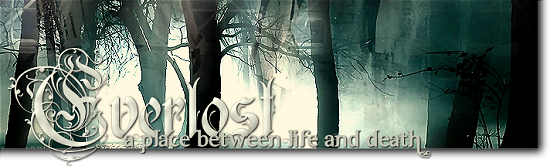 Everlost: A place between life and death Publi-1