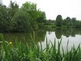 Gawsworth Fishery GAWSWORTH8