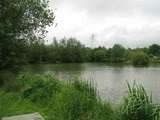 Cudmore Fishery; Staffordshire Cudmorecarp040