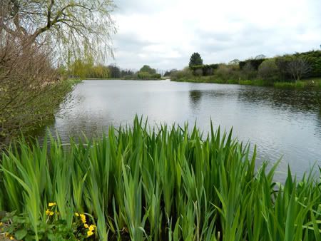 Millbrook Fishery MbMFF