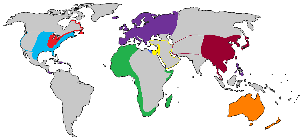 Map of MT/PMT Planet MP