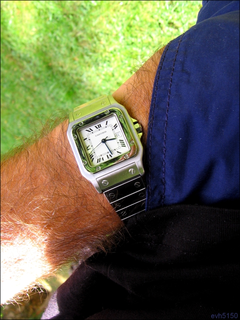 *****La montre du jour ! vol. 6***** - Page 24 IMG_5229