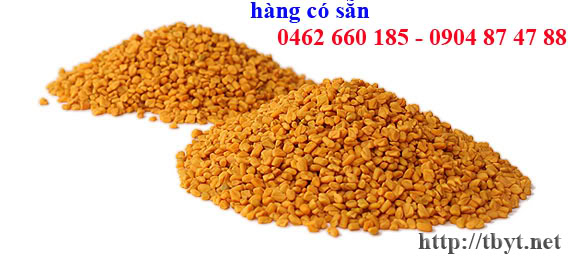 Bán hạt Methi - thảo dược cực tốt cho người tiểu đường Hat-methi-1