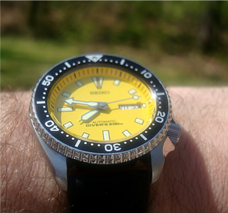 Picked up a summer watch... DSC07332