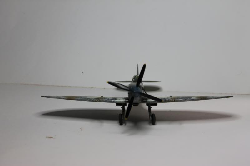 1/48 Arii Spitfire LF MK VIII A58-517 IMG_0399_zps43ecd192