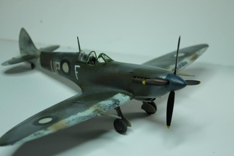 1/48 Arii Spitfire LF MK VIII A58-517 IMG_0410_zpsdc251864