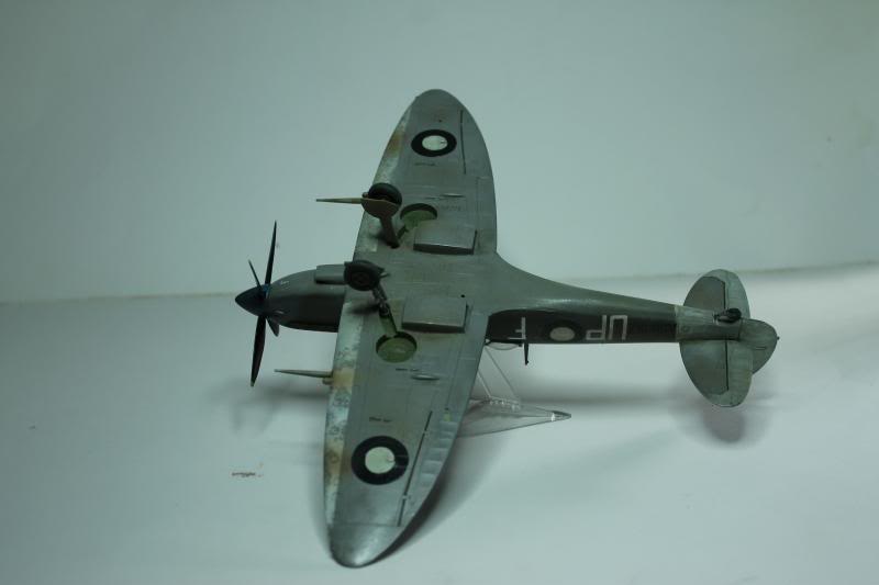 1/48 Arii Spitfire LF MK VIII A58-517 IMG_0413_zpsf598d133