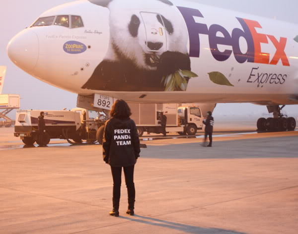 Fedex 777 - Operação Panda FedExPandaExpressBoeing777Freadyfortakeoff