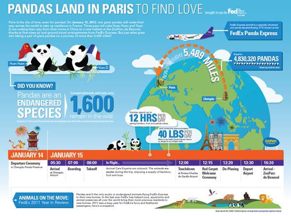 Fedex 777 - Operação Panda FedExPandaExpressInfographic