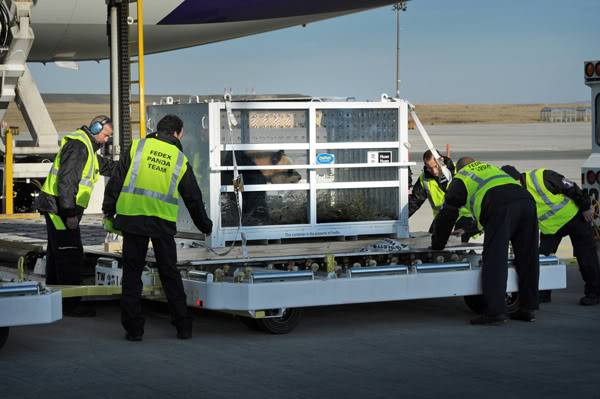 Fedex 777 - Operação Panda TheGiantPandaOffLoadingProcess