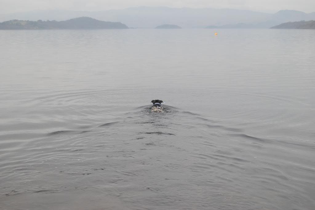 Diesel swimming Pics DSC_0480