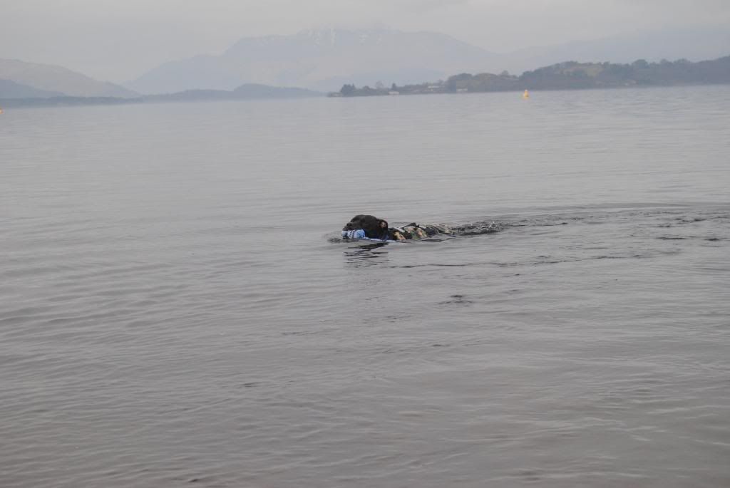 Diesel swimming Pics DSC_0492-1