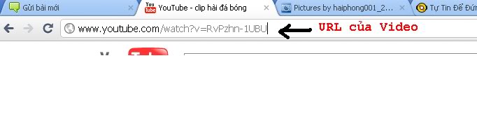 Các tính năng khi viết bài của Diễn đàn Aqqqqq