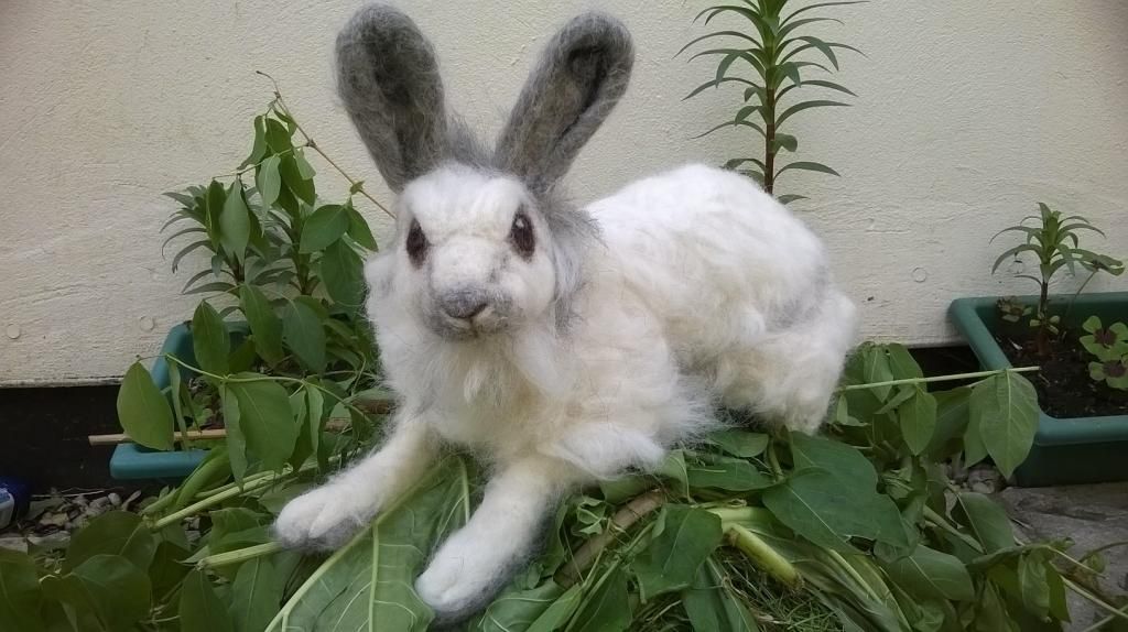 Handmade needlefelted snowshoe hare, wild bunnies and stoats WP_20140513_014