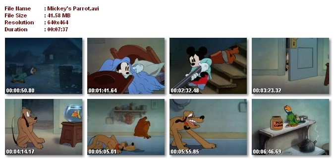 اكبر مكتبه افلام كرتون بطوط وميكى وبندق جاهزة للتحميل لا تفوتكم MickeysParrot