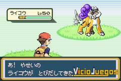 Raikou, Suicune y Entei Raikou1