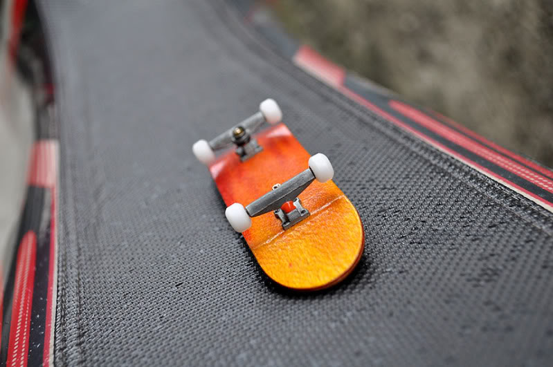 FingerBoard Photos - Page 6 DFBSunburst_023