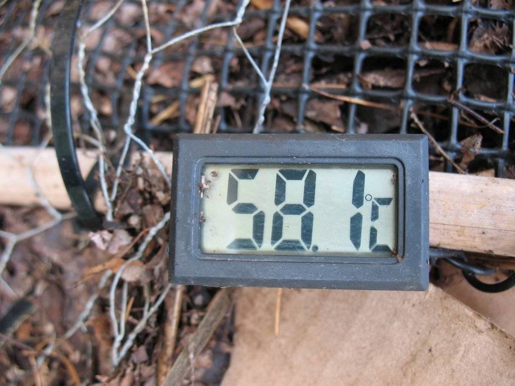 TrolleyDriver's Compost Thermometer - Page 5 IMG_3171_zps63jqagn8