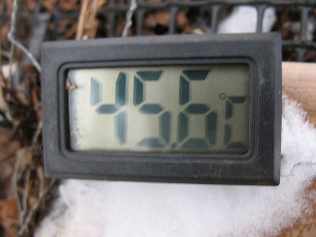 TrolleyDriver's Compost Thermometer - Page 5 IMG_3218_zps0ur1lj9z