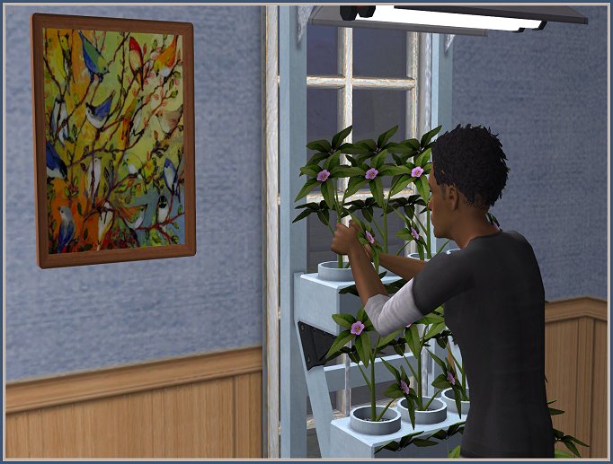 Sugah's Sim Antics - Page 14 Zen-Hydroponics_zps5fee3a9e