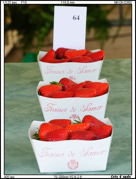 Fête des fraises Samer _D309124_DxO-border