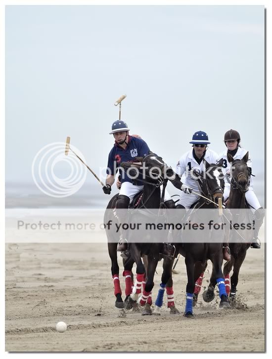 Polo 2010/ Maj Hardelot (ouvert) _D305305