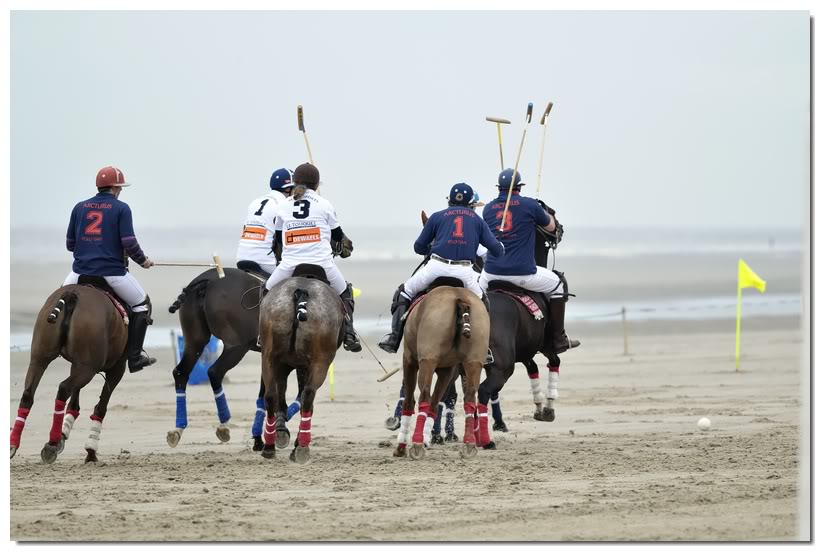 Polo 2010/ Maj Hardelot (ouvert) _D305311