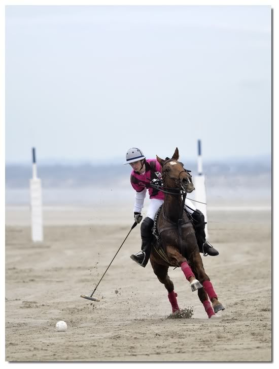 Polo 2010/ Maj Hardelot (ouvert) _D305332