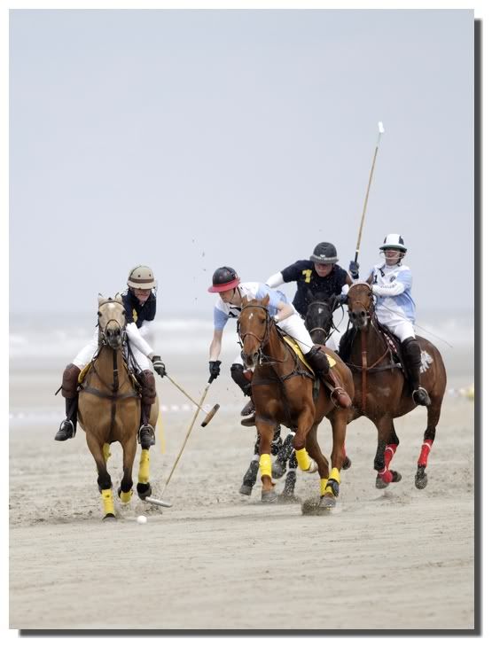 Polo 2010/ Maj Hardelot (ouvert) _D308906_DxO