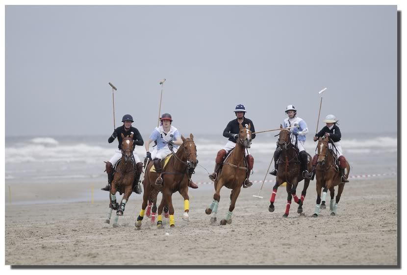 Polo 2010/ Maj Hardelot (ouvert) _D308951_DxO