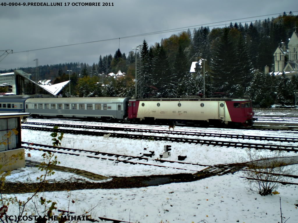 INSTANTANEE HIBERNALE 2011 - 2012 P1010155-1