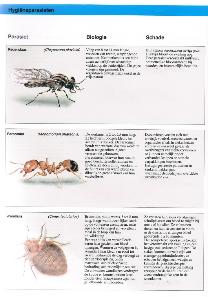 Insekten in en rond de voliëre, binnenhokken... deel 1 Bayerparasieten61