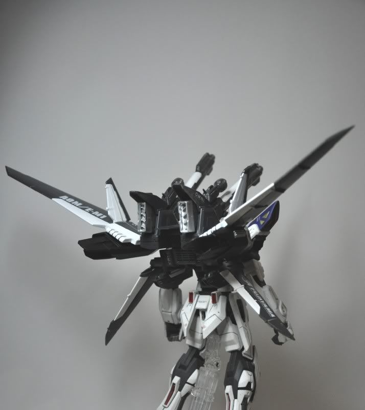 MG 1/100 Strike E + IWSP  DSC_0086