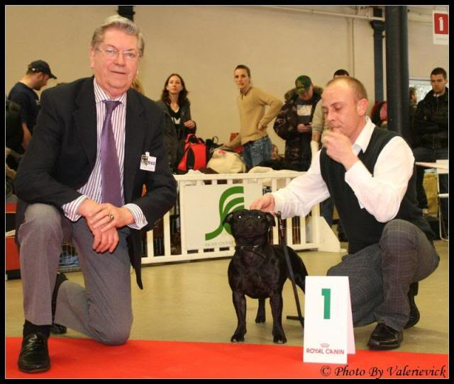 Paris Dog Show 2010 IMG_1430-border