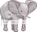 Olifant - Animaties Okuyjo