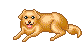 Honden - Animaties 96jcye