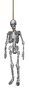 Skelet (Geraamte) - Animaties 120trgm