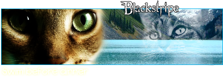 Graystripe's graphics (Onderschriftjes,Avatars en Profielplaatjes!) - Pagina 2 Blackstripesig