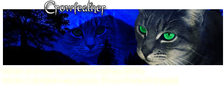 Graystripe's graphics (Onderschriftjes,Avatars en Profielplaatjes!) - Pagina 2 Crowfeathersig-1