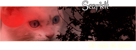 Graystripe's graphics (Onderschriftjes,Avatars en Profielplaatjes!) - Pagina 3 Scarkitsig