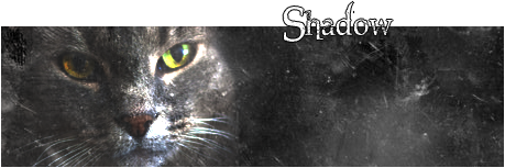 Graystripe's graphics (Onderschriftjes,Avatars en Profielplaatjes!) - Pagina 3 Shadowsig