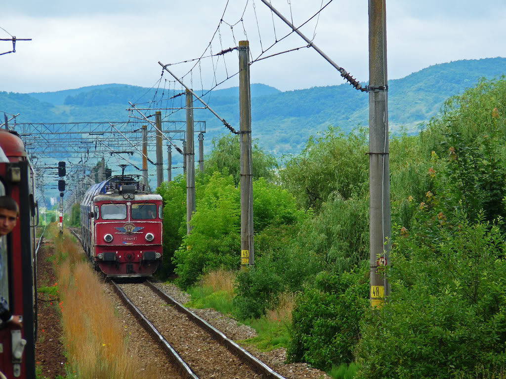 Constanta - Suceava - Dej Calatori P1080838