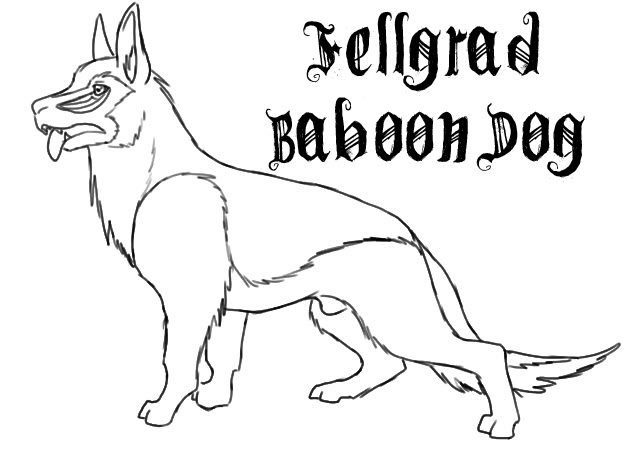 Fellgrad Pets FelBabDog