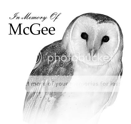 Tribute to McGee  Mcgee_memory_constcont