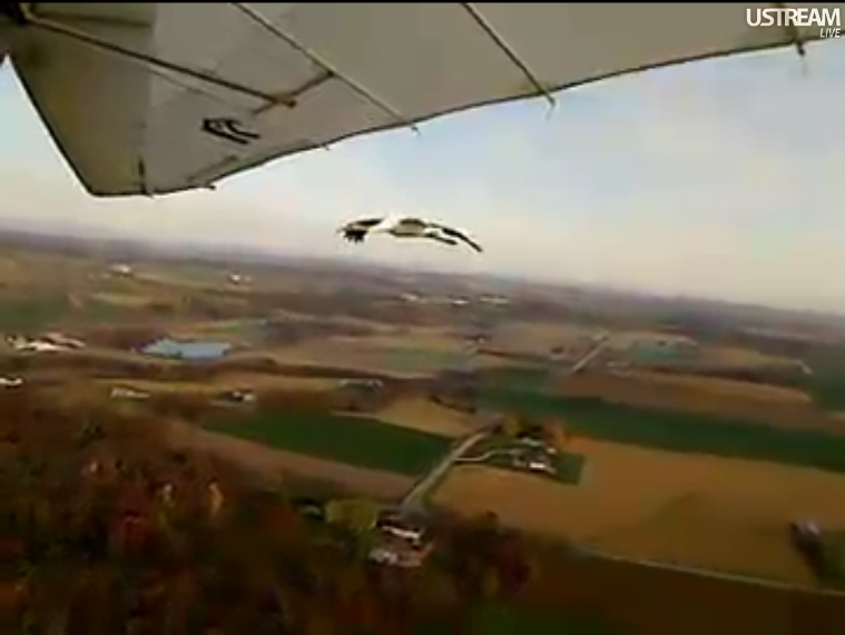 Screen Shots of today's flight 10/28/2011 1028